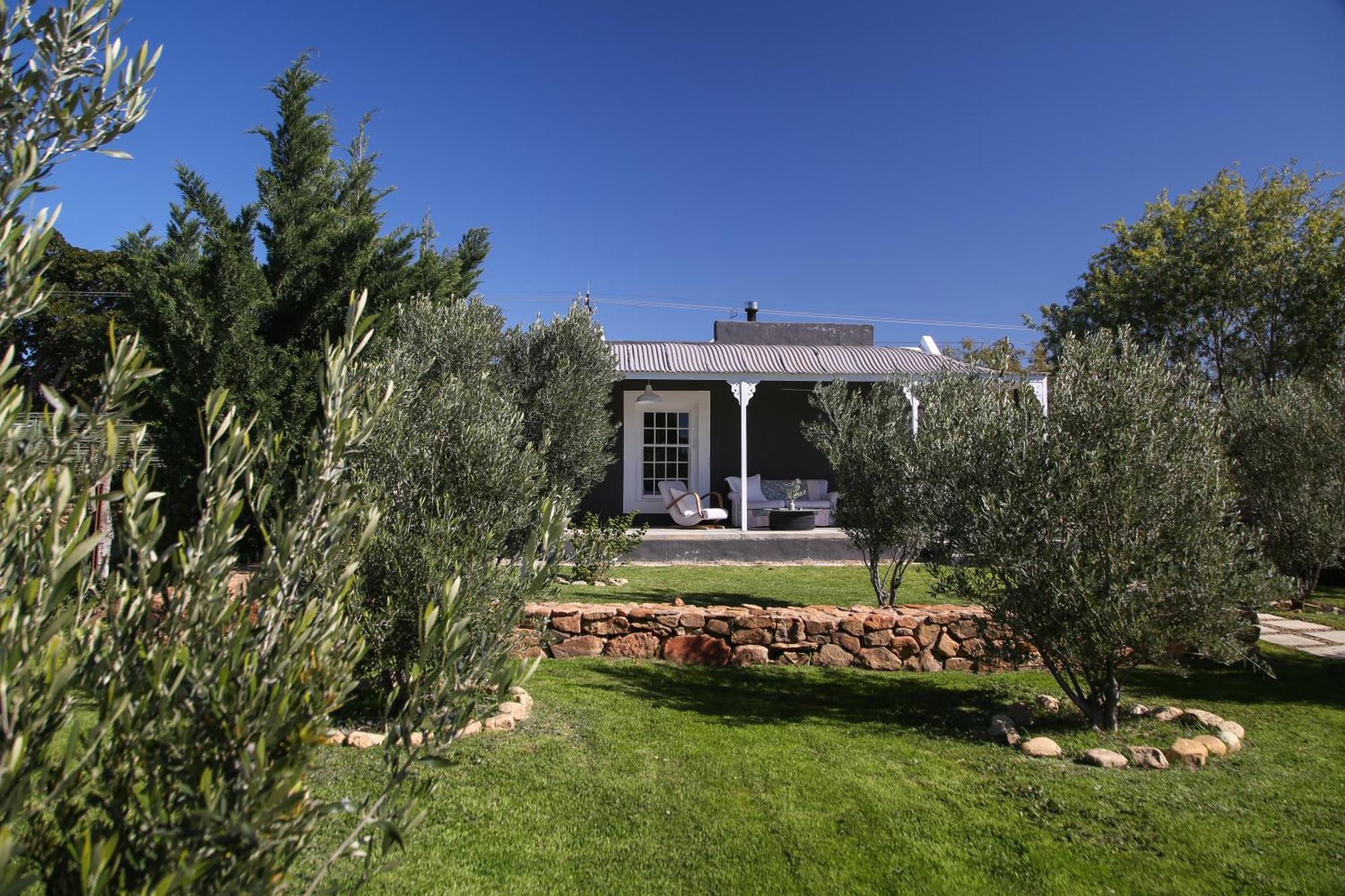 מלון פרינס אלברט Olive Grove House מראה חיצוני תמונה
